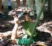 how to go to the cu chi tunnels on your own free guide
