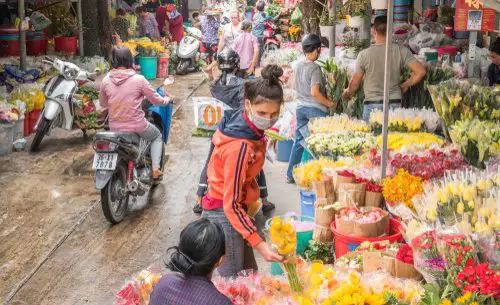 The largest wholesale flower supplier in Ho Chi Minh City