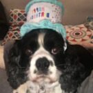 sadierose13 Avatar